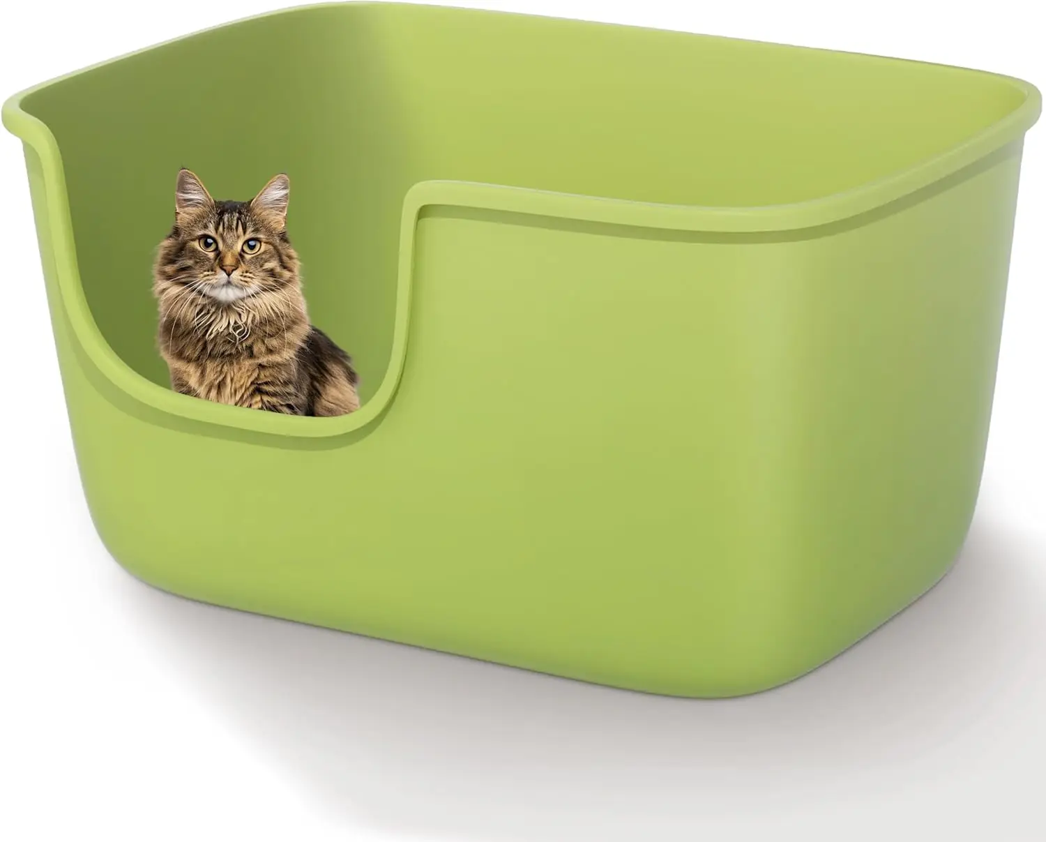 Large Cat Litter Box High Sided Low Entry 22.2"x14.9"x12" for Indoor Cats Green
Large Cat Litter Box High Sided Low Entry 22.2"x14.9"x12" for Indoor Cats Green