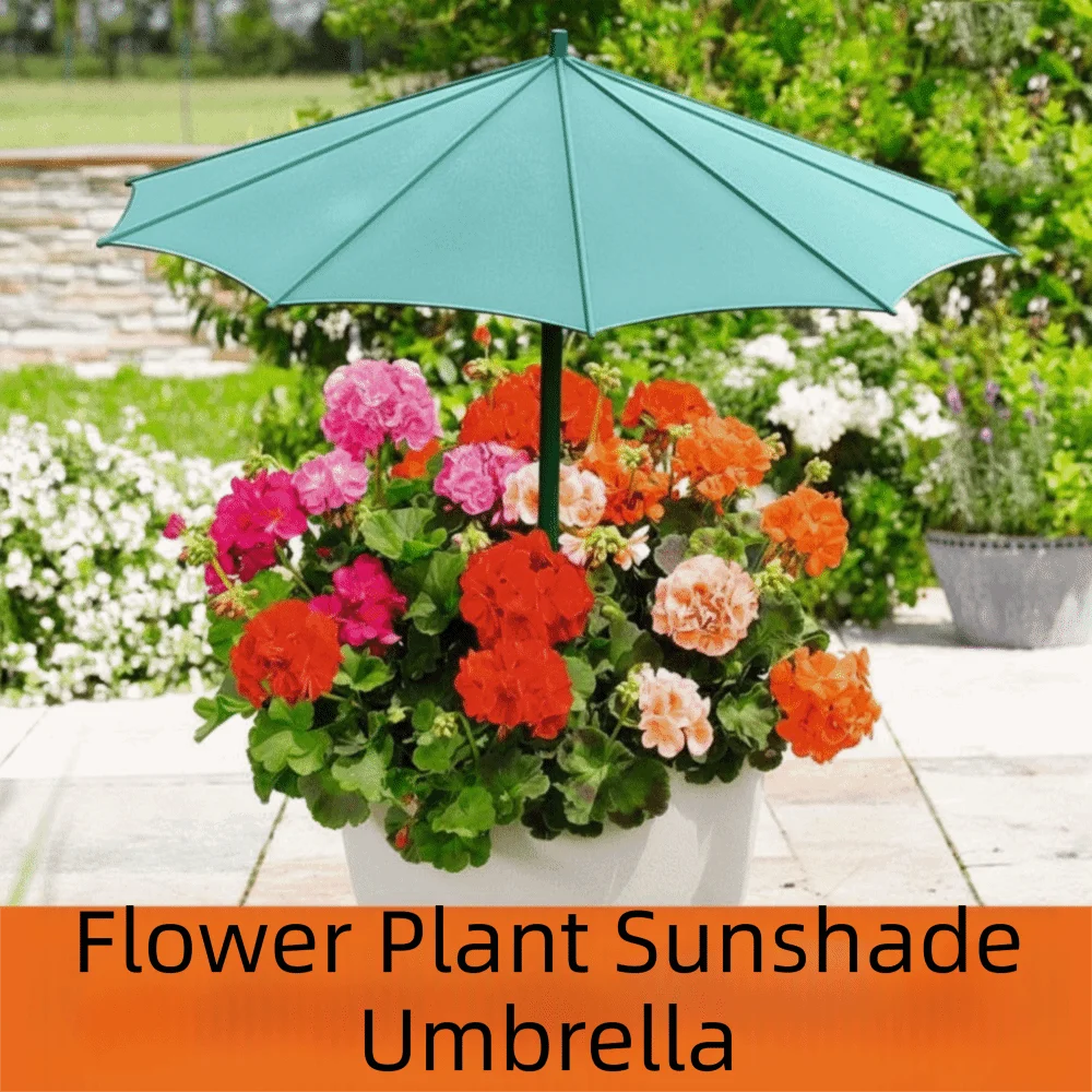 3Pcs Weather proof Sunshade Cloth Plant Shade Umbrella UV Protection Sunshade Canopy Outdoor Plant Sunshade
3Pcs Weather proof Sunshade Cloth Plant Shade Umbrella UV Protection Sunshade Canopy Outdoor Plant Sunshade