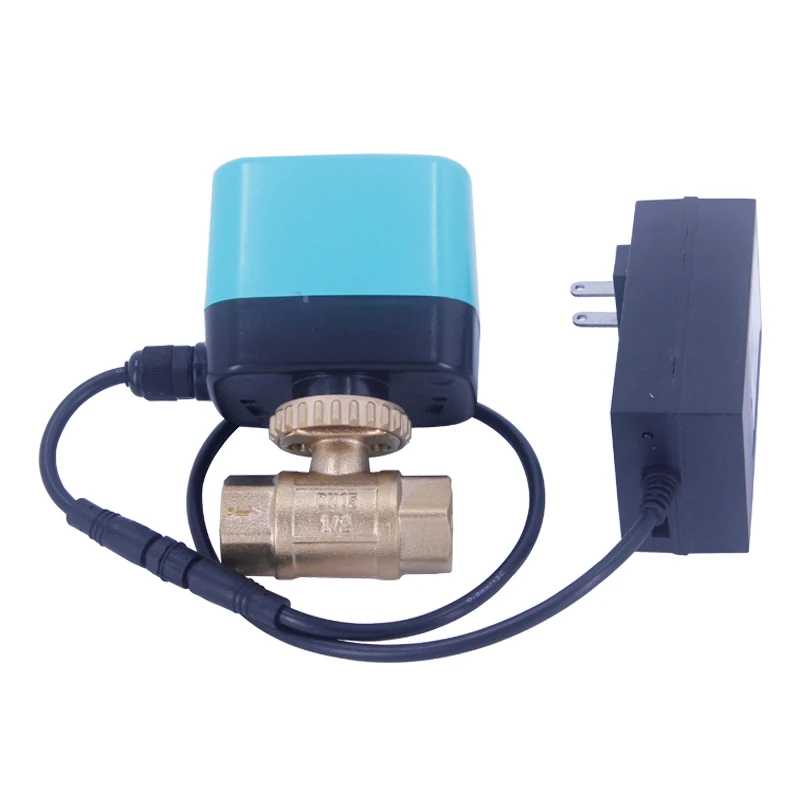 APP Control Smart Electric WIFI 1/4 inch stainless steel Smart Wireless electric water ball Valve for Watering Irrigation
APP Control Smart Electric WIFI 1/4 inch stainless steel Smart Wireless electric water ball Valve for Watering Irrigation
