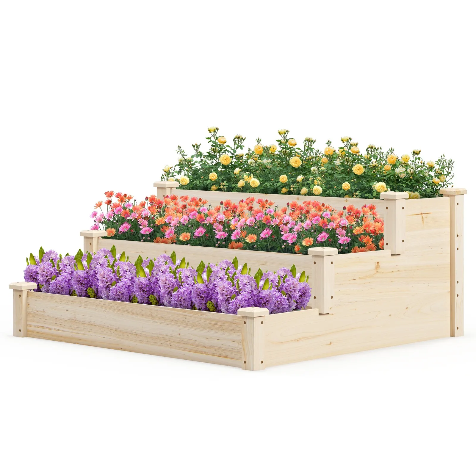 Wooden 3-Tier Raisaed Garden Bed w/ Open-Ended Base Growing Planter for Backyard
Wooden 3-Tier Raisaed Garden Bed w/ Open-Ended Base Growing Planter for Backyard