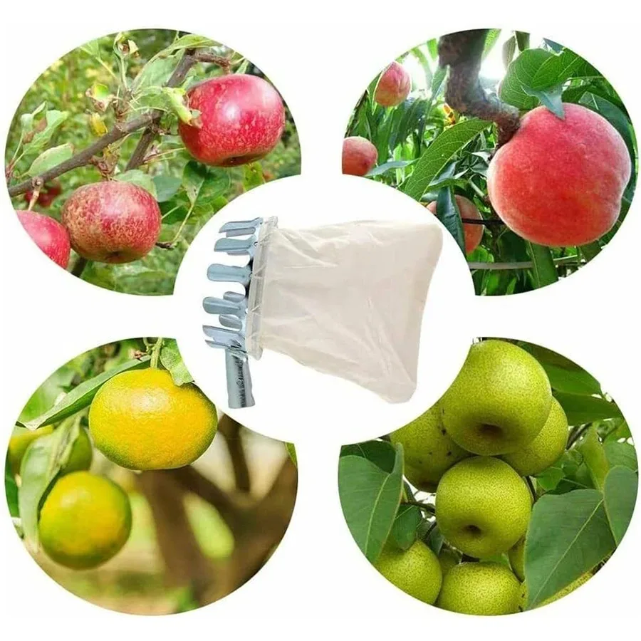 Sturdy Fruit Picker Basket Collector for Gardening - High Branch Apple Pear Citrus Harvest Tool and Supplies
Sturdy Fruit Picker Basket Collector for Gardening - High Branch Apple Pear Citrus Harvest Tool and Supplies