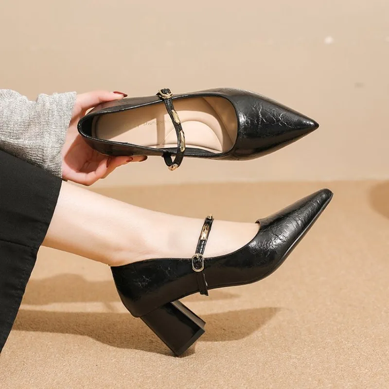 French Versatile Pointed Toe Shoes Women's Comfortable Non-Slip Chunky Heel High Heels
French Versatile Pointed Toe Shoes Women's Comfortable Non-Slip Chunky Heel High Heels