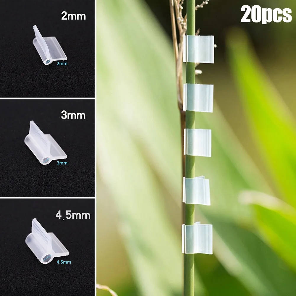 20Pcs 2/3/4.5mm Agriculture Grafting Clips Vegetable Fruit Plant Tomato Watermelon Support Clamp Gardening Accessories
20Pcs 2/3/4.5mm Agriculture Grafting Clips Vegetable Fruit Plant Tomato Watermelon Support Clamp Gardening Accessories