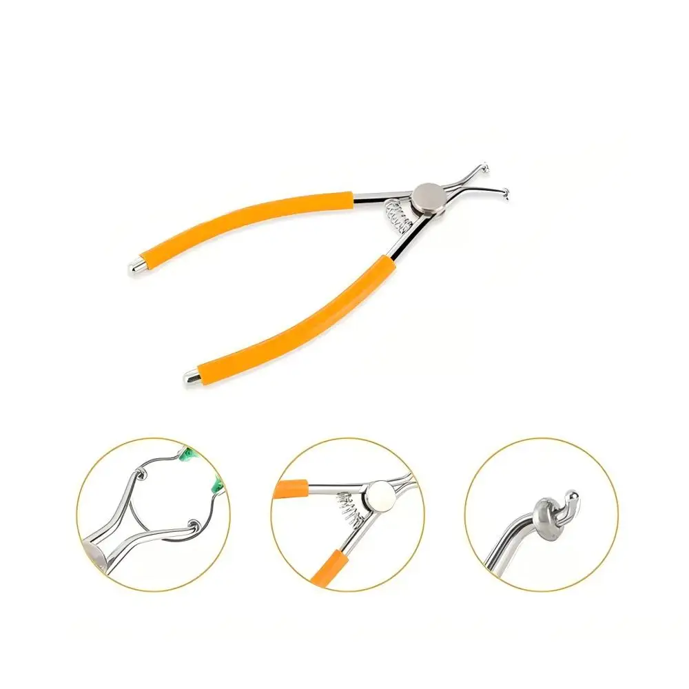 1Pc Dental Matrix Pliers Holder Rubber Dam Forceps Stainless Steel Dental Forming Pliers Placement Rubber Dam Clips Dental Tools
1Pc Dental Matrix Pliers Holder Rubber Dam Forceps Stainless Steel Dental Forming Pliers Placement Rubber Dam Clips Dental Tools