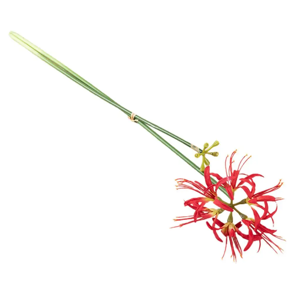 Artificial Flower Decoration Lifelike Arrangement Prop Plant Fake Flowers Red Mother Party DIY Table Centerpieces Imitation
Artificial Flower Decoration Lifelike Arrangement Prop Plant Fake Flowers Red Mother Party DIY Table Centerpieces Imitation