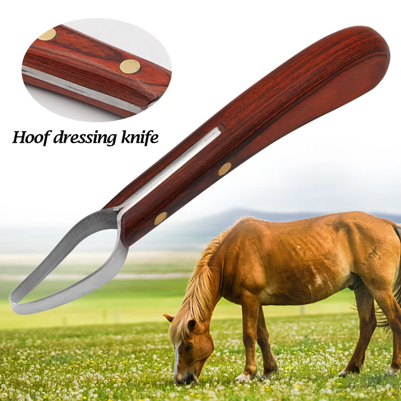 Horse Hoof Knife Wooden Handle Stainless Steel Blade Double Edge Hoof Knife Shears Cutter Multipurpose Sheep Cow Horse Hoof 1Pcs
Horse Hoof Knife Wooden Handle Stainless Steel Blade Double Edge Hoof Knife Shears Cutter Multipurpose Sheep Cow Horse Hoof 1Pcs
