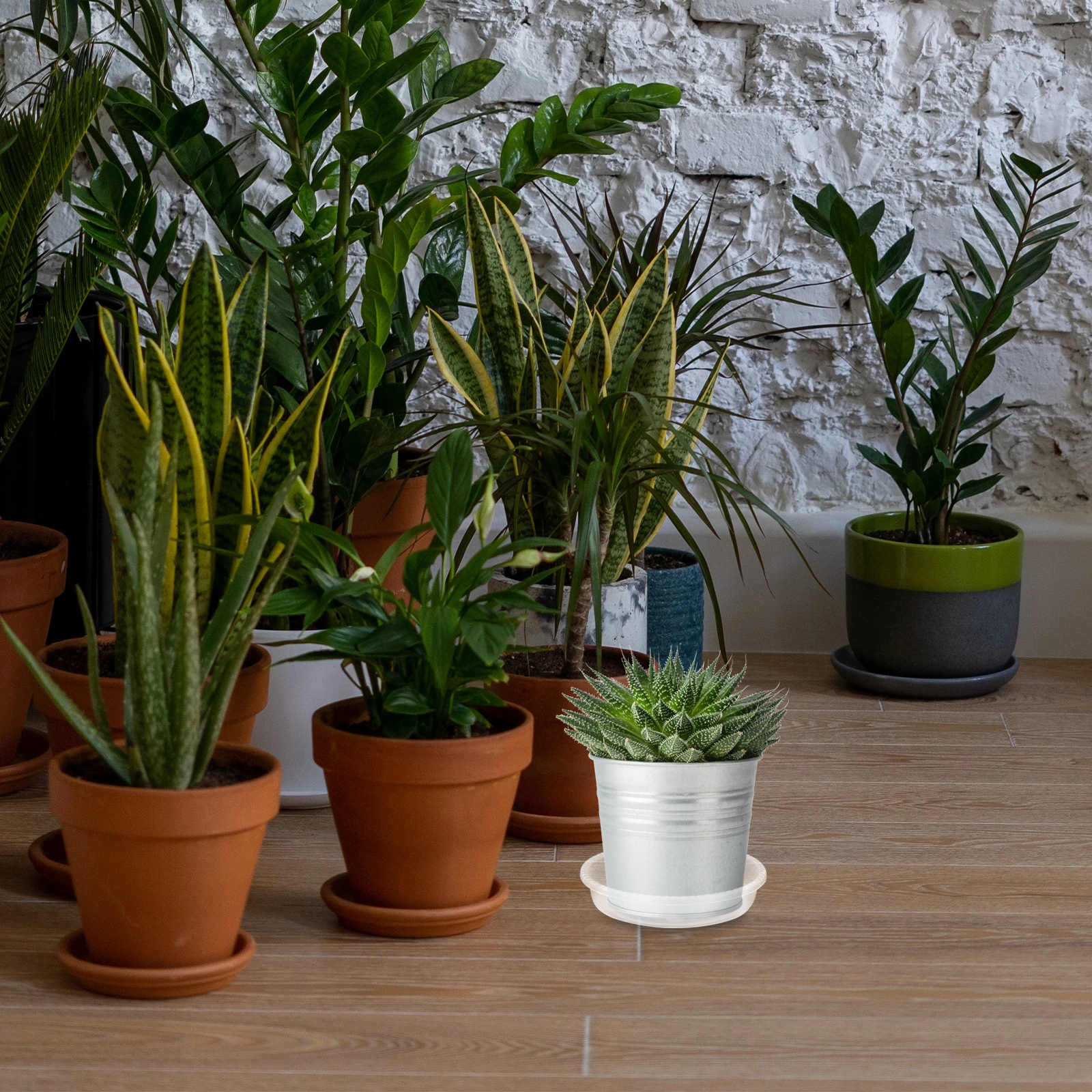 30pcs Plastic Flowerpot Trays Round Water Holding Trays For Garden Balcony Use Flowerpot Bases Gardening Supplies Plant Pot
30pcs Plastic Flowerpot Trays Round Water Holding Trays For Garden Balcony Use Flowerpot Bases Gardening Supplies Plant Pot