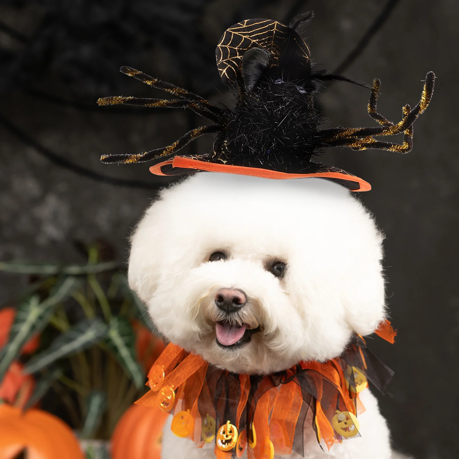 1 set Pet Accessories Halloween Dog Collar Curly Hair Eyeglass Cat Neck Decor Festival Costume Material Easy Party
1 set Pet Accessories Halloween Dog Collar Curly Hair Eyeglass Cat Neck Decor Festival Costume Material Easy Party