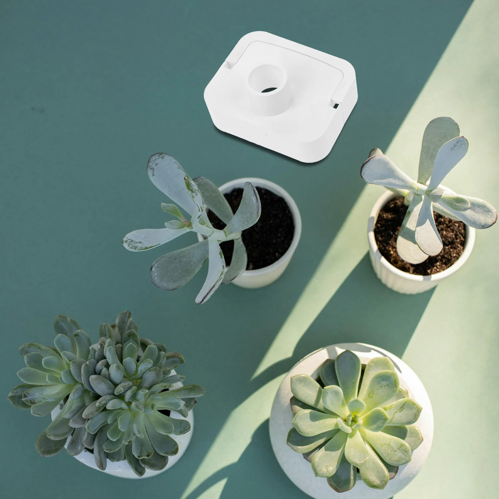 Hydroponic Pipe Plug Practical Durable Longlasting Plug for Garden Hydroponic System Replacement Fittings Pipe Fittings
Hydroponic Pipe Plug Practical Durable Longlasting Plug for Garden Hydroponic System Replacement Fittings Pipe Fittings