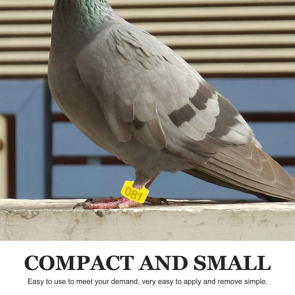 100Pcs Numbered Bird Identification Leg Rings Durable ABS Racing Foot Bands for Pigeons and Birds Pigeon Foot Ring 
100Pcs Numbered Bird Identification Leg Rings Durable ABS Racing Foot Bands for Pigeons and Birds Pigeon Foot Ring