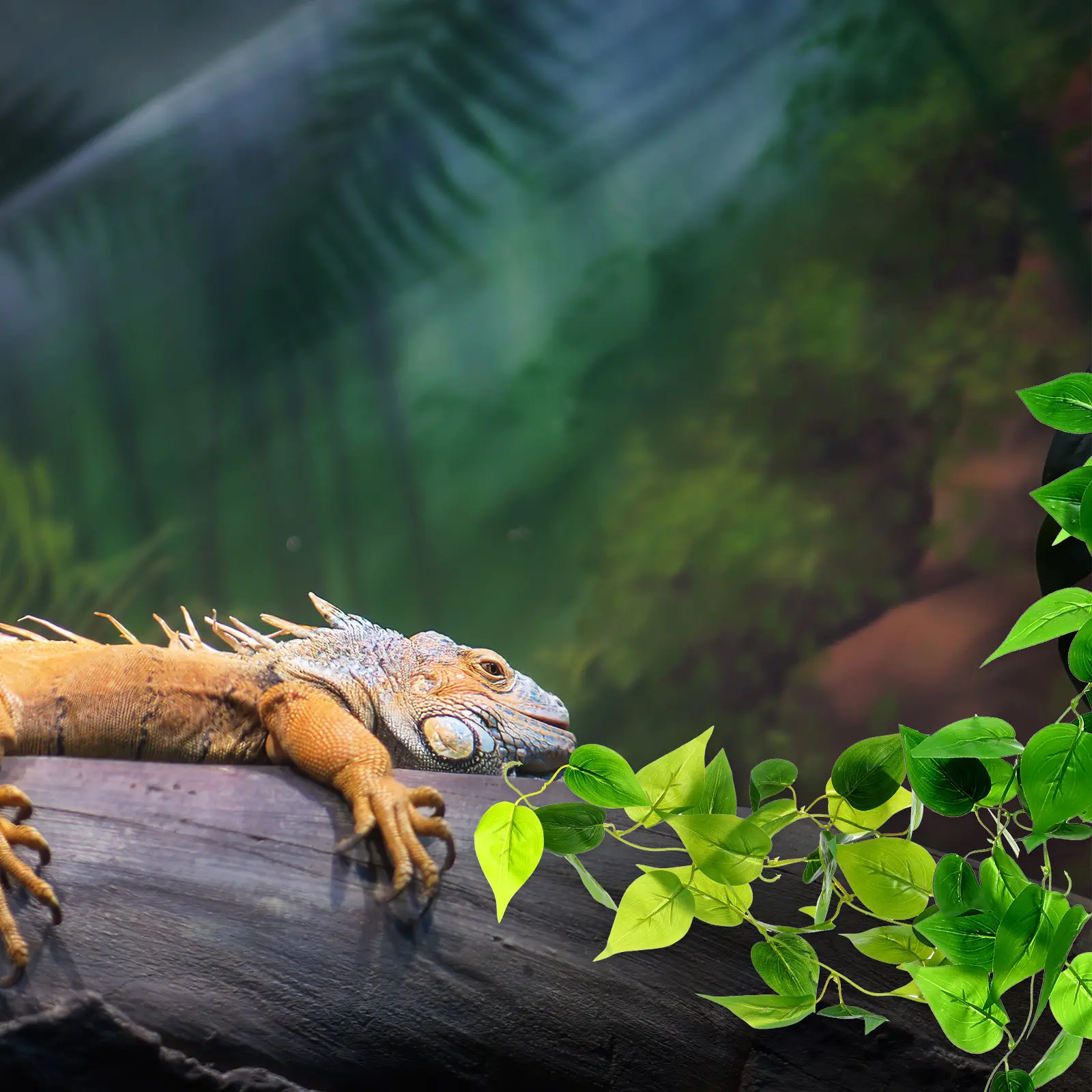 2 шт. Искусственные растения для рептилий, реалистичные имитации лиан, декор для террариумов, аксессуары для террариумов с гекконами, змеями, ящерицами
2 шт. Искусственные растения для рептилий, реалистичные имитации лиан, декор для террариумов, аксессуары для террариумов с гекконами, змеями, ящерицами