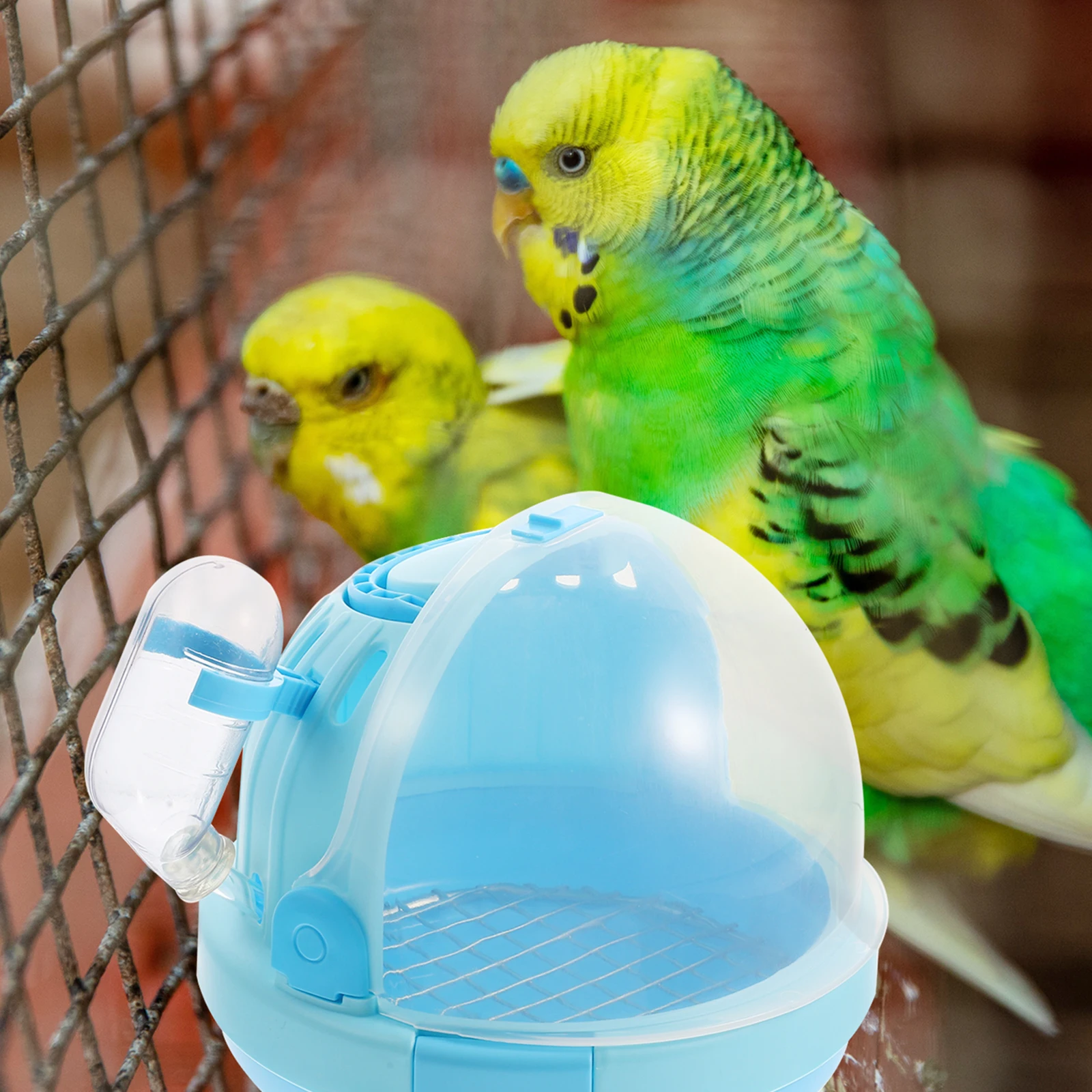 1 set Premium Handheld Bird Cage Travel Carrier Portable Pet Cage for Parrot Hamster Outdoor Grooming Hospital Use Ventilated
1 set Premium Handheld Bird Cage Travel Carrier Portable Pet Cage for Parrot Hamster Outdoor Grooming Hospital Use Ventilated