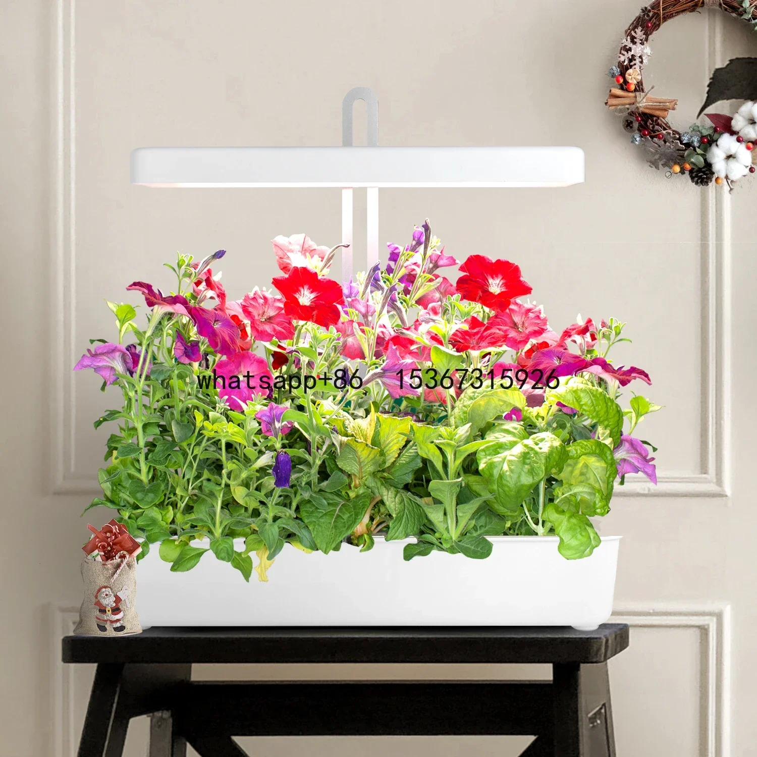 J&C Minigarden Morino garten deko indoor hydroponic growing system garden for plant herb tomatoes
J&C Minigarden Morino garten deko indoor hydroponic growing system garden for plant herb tomatoes