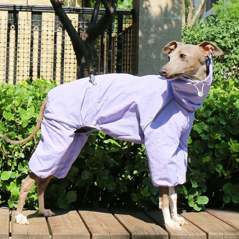 Summer Outdoor Dog Clothes Greyhound Coats High Neck Waterproof Whippet Dog Clothes Designer Luxury Dogs Coat Large Medium Small
Summer Outdoor Dog Clothes Greyhound Coats High Neck Waterproof Whippet Dog Clothes Designer Luxury Dogs Coat Large Medium Small