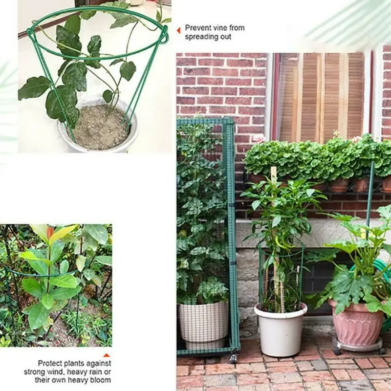 Metal Garden DIY Plant Support Frame Stake Ring Peony Herbaceous Plant Flower Stand Artificial Climbing Trellis Garden Decor
Metal Garden DIY Plant Support Frame Stake Ring Peony Herbaceous Plant Flower Stand Artificial Climbing Trellis Garden Decor