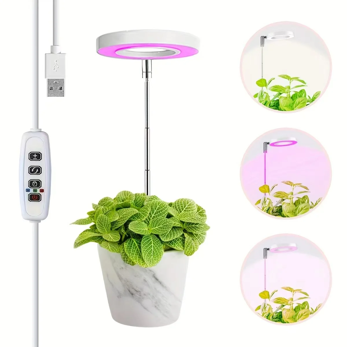 HOMEFISH Full Spectrum Fill Light LED Grow Lamp with Adjustable Height, 3/9/12H Timer 10-Level Dimming for Indoor Solar Plants
HOMEFISH Full Spectrum Fill Light LED Grow Lamp with Adjustable Height, 3/9/12H Timer 10-Level Dimming for Indoor Solar Plants