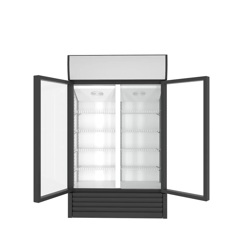 Factory Sale Dynamic Cooling Double Glass Doors Supermarket Vertical Upright Beverage Air Cooling Soda Beer Display Freezer
Factory Sale Dynamic Cooling Double Glass Doors Supermarket Vertical Upright Beverage Air Cooling Soda Beer Display Freezer