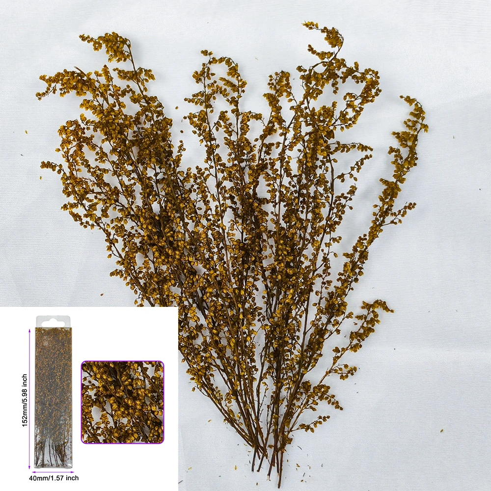 Simulation Eternal Flowers Dry Flowers Static Grass Moss Bush Model DIY Making Sand Table/Railway/Garden Decor Materials 1Box
Simulation Eternal Flowers Dry Flowers Static Grass Moss Bush Model DIY Making Sand Table/Railway/Garden Decor Materials 1Box