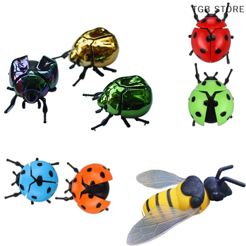1Pcs Creative Prankster Animated Insect Model Dollhouse Decoration Plastic Animals Toy Scarab Beetle Wind Up Beetle Bionic Toys 
1Pcs Creative Prankster Animated Insect Model Dollhouse Decoration Plastic Animals Toy Scarab Beetle Wind Up Beetle Bionic Toys