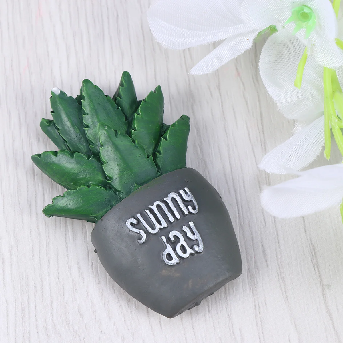 Succulent Cactus Fridge Magnet Plant Sticker Creative Resin Refrigerator Magnets Home Decoration Kitchen Aloe Home Decor Sticker
Succulent Cactus Fridge Magnet Plant Sticker Creative Resin Refrigerator Magnets Home Decoration Kitchen Aloe Home Decor Sticker