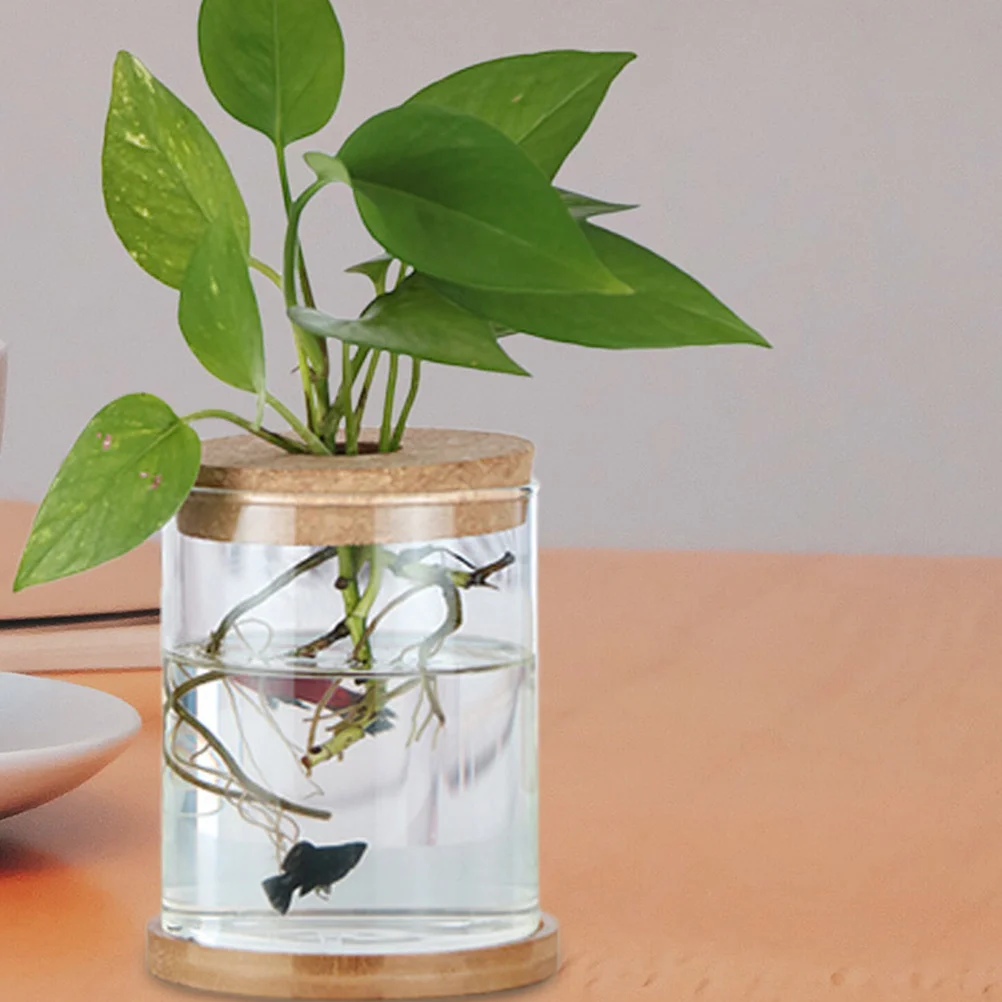 6pcs Water Propagation Vase Cork Lid Set Transparent Glass Micro Landscape Planters Wooden Tapered Cork Stopper For Hydroponic
6pcs Water Propagation Vase Cork Lid Set Transparent Glass Micro Landscape Planters Wooden Tapered Cork Stopper For Hydroponic