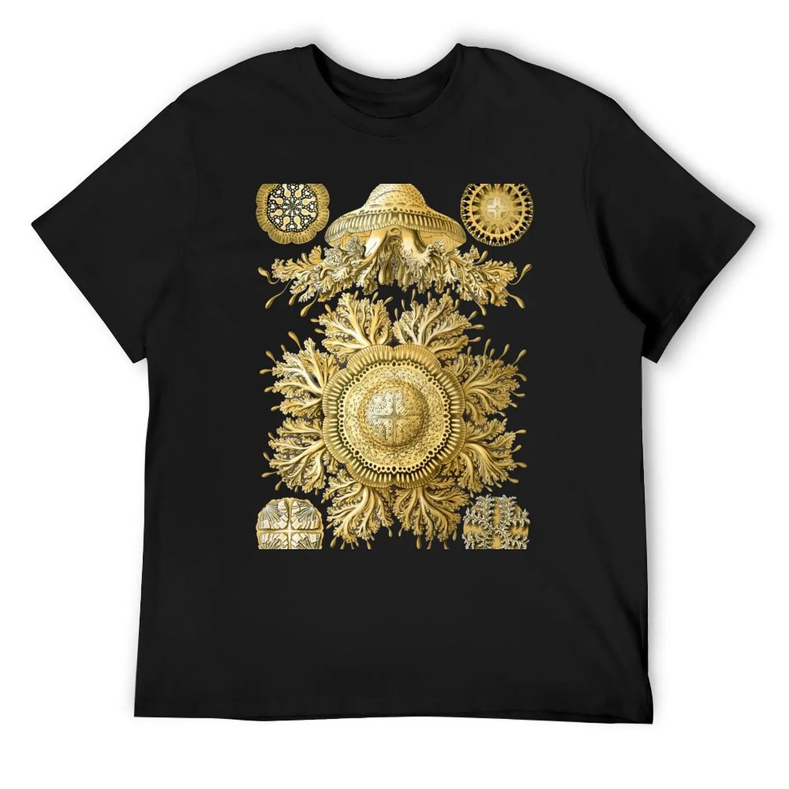 Ernst Haeckel - Scientific Illustration - Discomedusae (Jellyfish) T-Shirt topping mens designer clothes 
Ernst Haeckel - Scientific Illustration - Discomedusae (Jellyfish) T-Shirt topping mens designer clothes