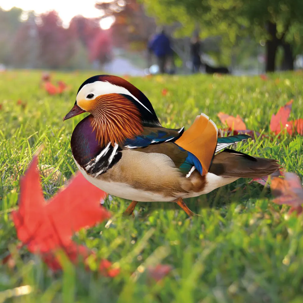 2Pcs Acrylic Garden Stake Duck Yard Ornament Outdoor Garden Decor Decorative Lawn Sign Yard Accessories Stake Sign
2Pcs Acrylic Garden Stake Duck Yard Ornament Outdoor Garden Decor Decorative Lawn Sign Yard Accessories Stake Sign