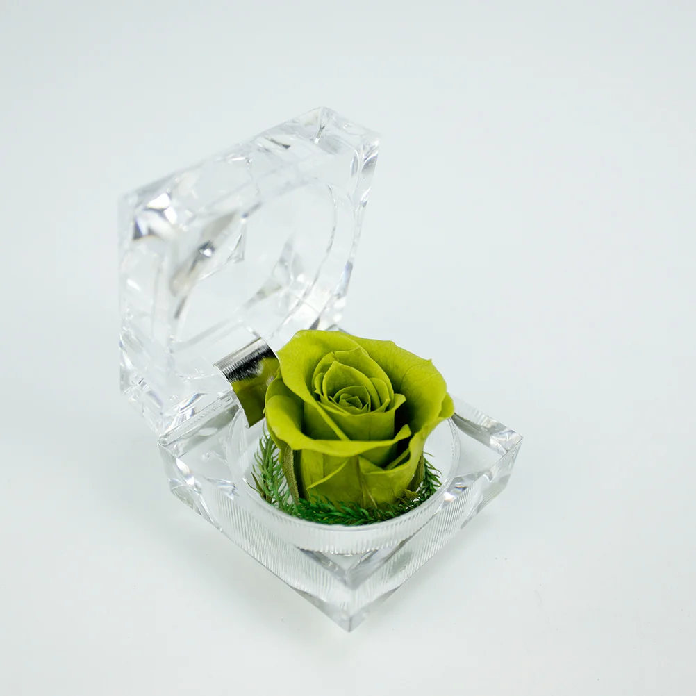 1Pcs Rose Eternity Flower Gift Light Green Preserved Fresh Rose for Valentines Birthday Anniversary Romantic Decoration
1Pcs Rose Eternity Flower Gift Light Green Preserved Fresh Rose for Valentines Birthday Anniversary Romantic Decoration