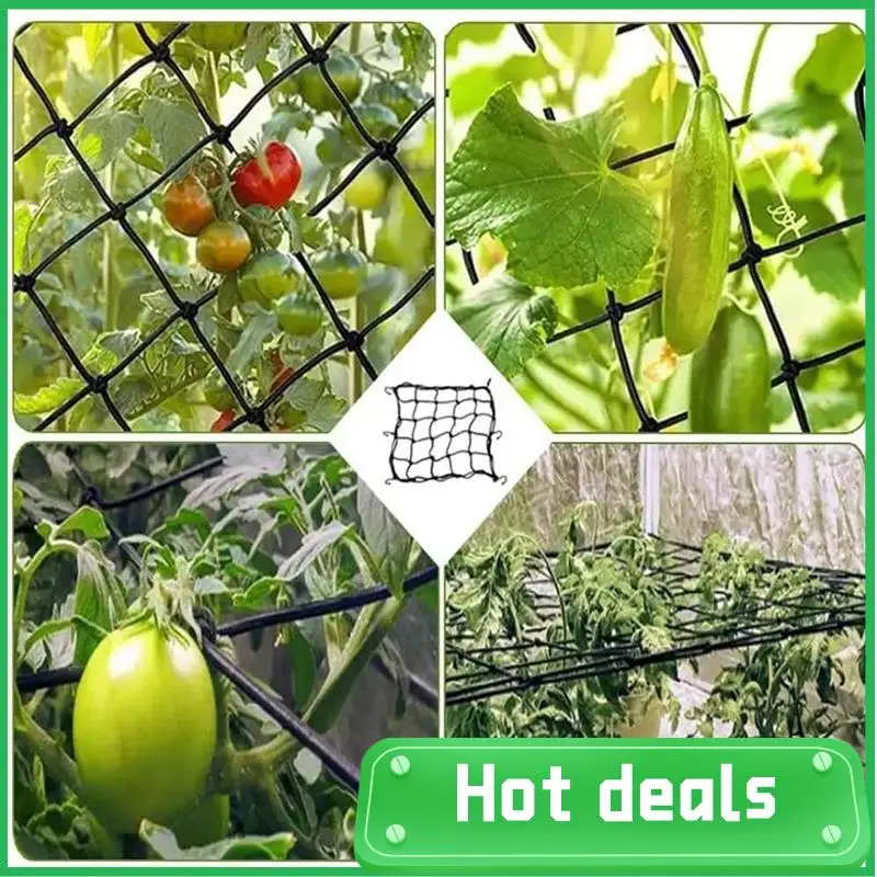 AC62-Garden Trellis Netting Heavy-Duty Garden Plant Support Net Cucumber Trellis Netting Climbing Plants Grow Mesh
AC62-Garden Trellis Netting Heavy-Duty Garden Plant Support Net Cucumber Trellis Netting Climbing Plants Grow Mesh