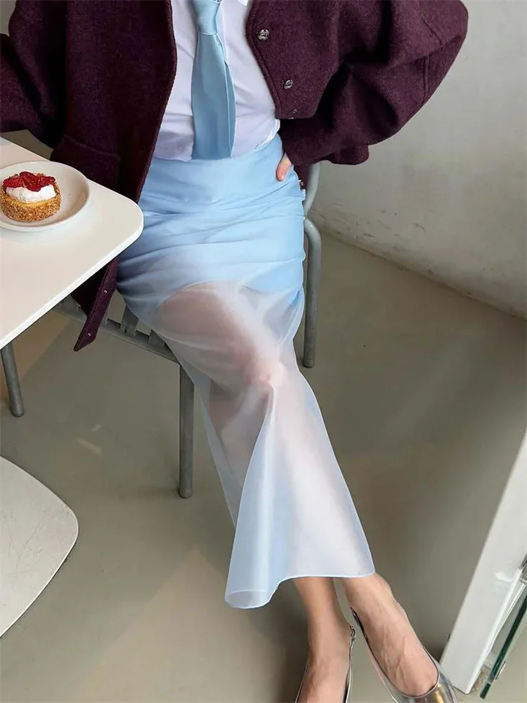BluWin Summer See-Through High Waist Long Skirt Female Slim Patchwork Casual Solid Commute Y2k Skirt Women's Mesh Maxi Skirt
BluWin Summer See-Through High Waist Long Skirt Female Slim Patchwork Casual Solid Commute Y2k Skirt Women's Mesh Maxi Skirt