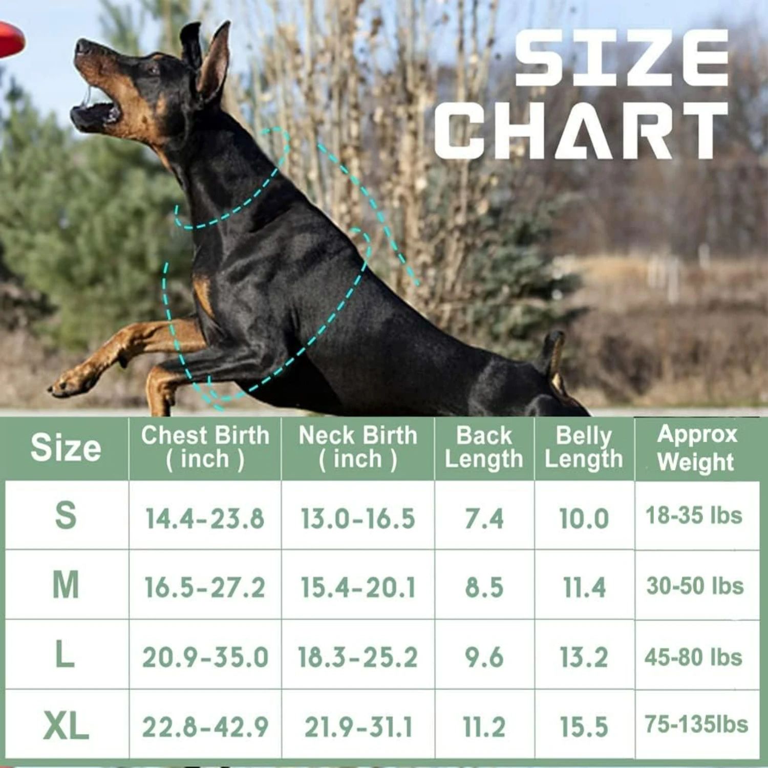 Comfortable Adjustable Military Green Reflective No Pull Dog Harness with Handle - Perfect for Smart and Active Medium Dogs - Fa
Comfortable Adjustable Military Green Reflective No Pull Dog Harness with Handle - Perfect for Smart and Active Medium Dogs - Fa