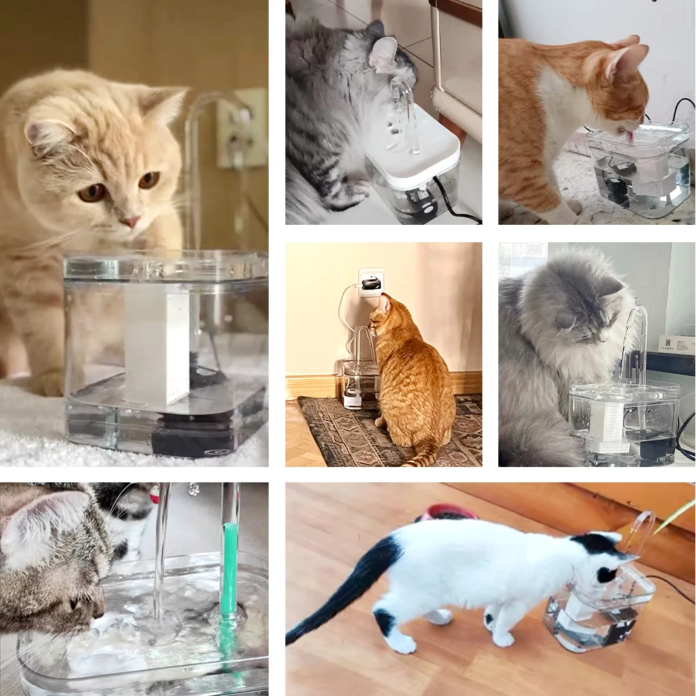 8Cat Water Fountain Auto Filter Transparent Cat Drinker USB Electric Mute Recirculate Filtering Drinker For Cats Water Dispenser
8Cat Water Fountain Auto Filter Transparent Cat Drinker USB Electric Mute Recirculate Filtering Drinker For Cats Water Dispenser