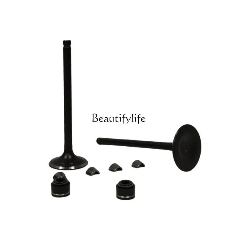 Motorcycle engine valve for VORTX250 CPS250 RT250 oil seal 
Motorcycle engine valve for VORTX250 CPS250 RT250 oil seal