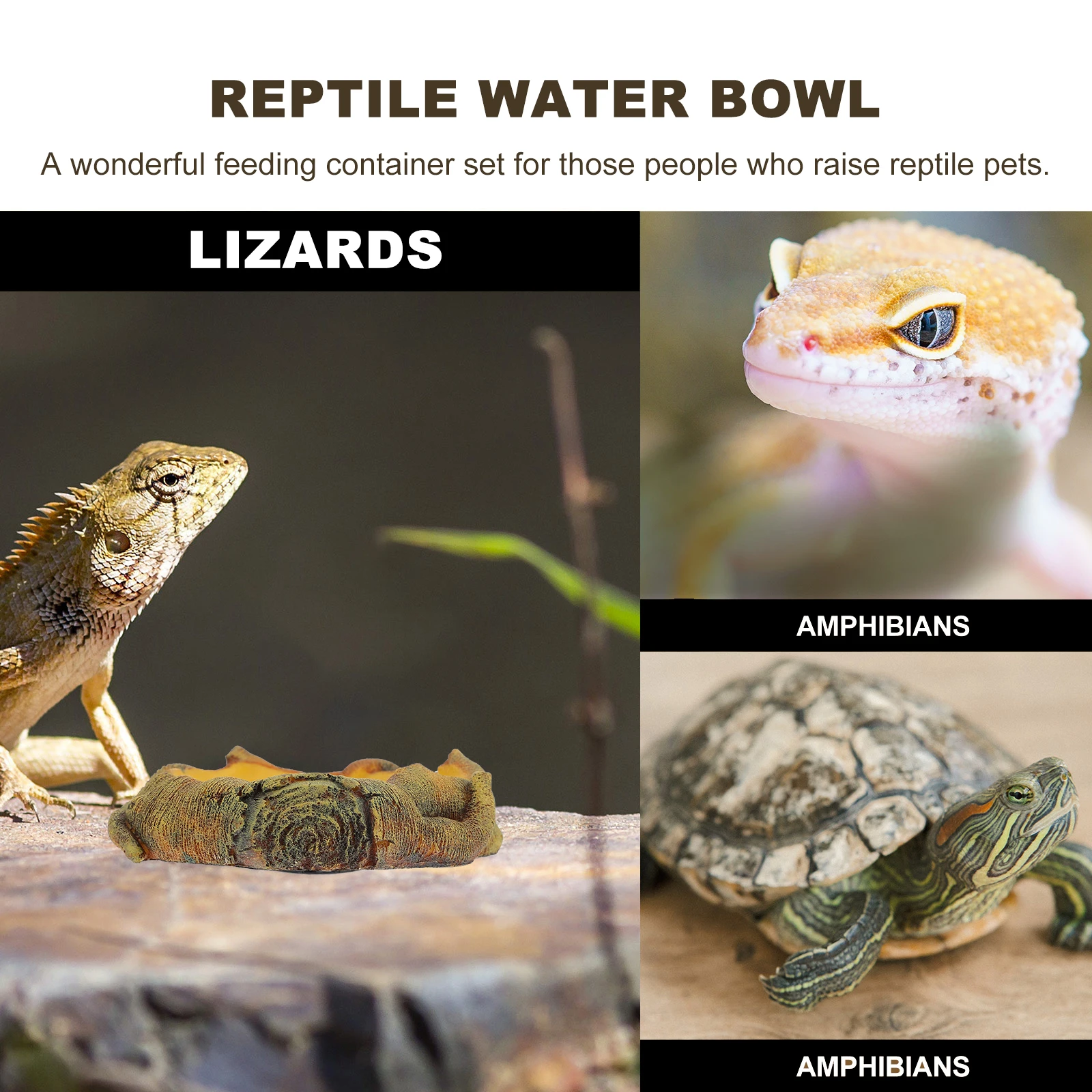 Resin Reptile Feeder Adornment Birdbath Bowl Large Capacity Pet Food Holder Drinking Tray Dish Wooden Pattern Water Bowl Lizard
Resin Reptile Feeder Adornment Birdbath Bowl Large Capacity Pet Food Holder Drinking Tray Dish Wooden Pattern Water Bowl Lizard