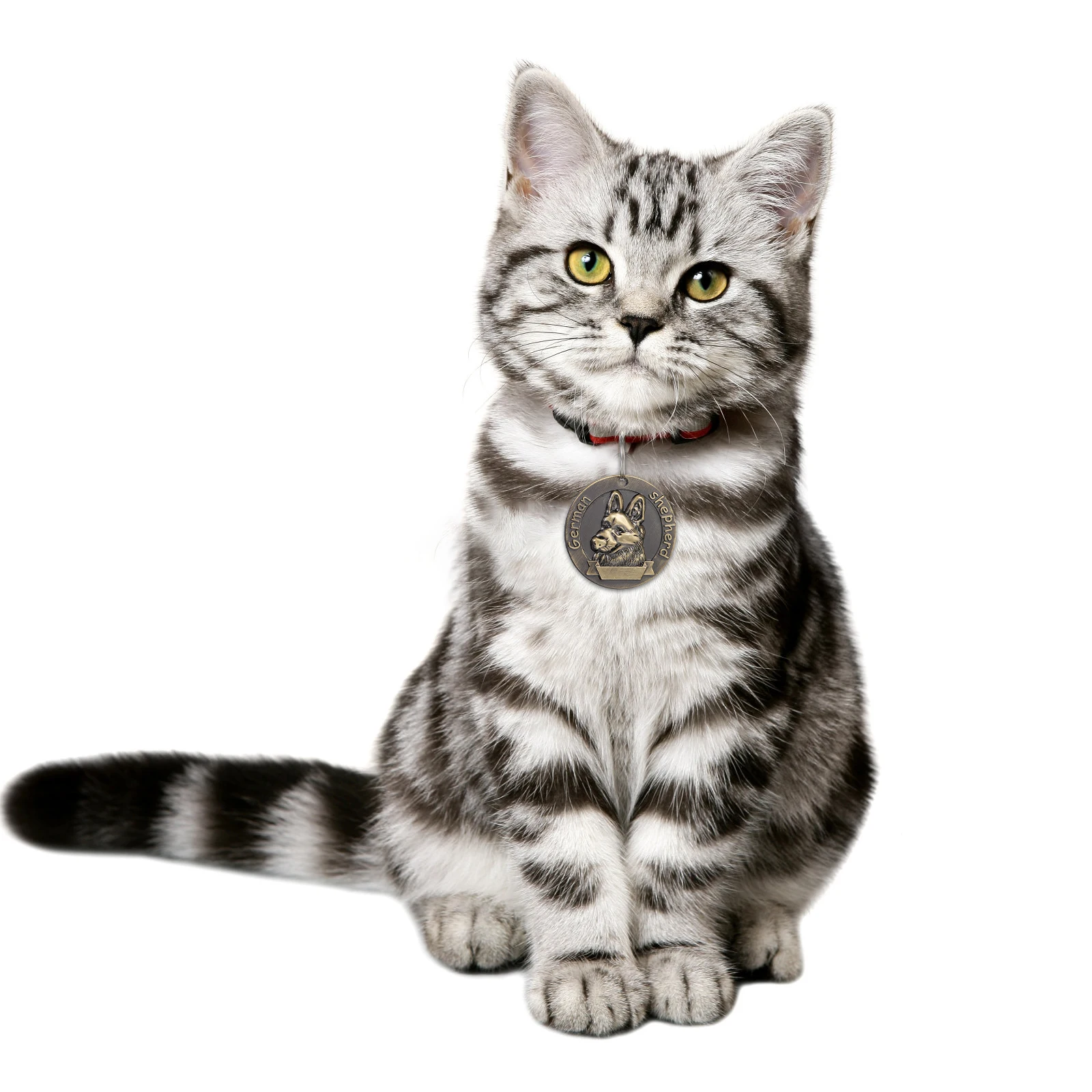 3pcs Identity Tag Durable Zinc Alloy Dog ID Retro Practical Hanging Label Shepherd Practical Dog Tag Collar Accessories 
3pcs Identity Tag Durable Zinc Alloy Dog ID Retro Practical Hanging Label Shepherd Practical Dog Tag Collar Accessories