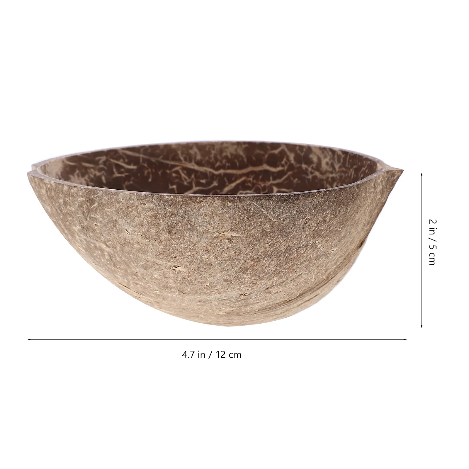Shell Salad Natural Food Holder Multi- Decor Fruit Dessert Container Storage Bowl Kitchen Home Supply Unique
Shell Salad Natural Food Holder Multi- Decor Fruit Dessert Container Storage Bowl Kitchen Home Supply Unique
