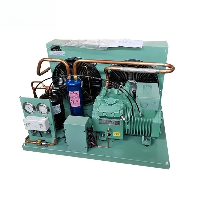 20HP for Bitzer Compressor Freezer Unit with Remote Control Energy-Efficient Refrigeration Equipment R410A for Condensing
20HP for Bitzer Compressor Freezer Unit with Remote Control Energy-Efficient Refrigeration Equipment R410A for Condensing