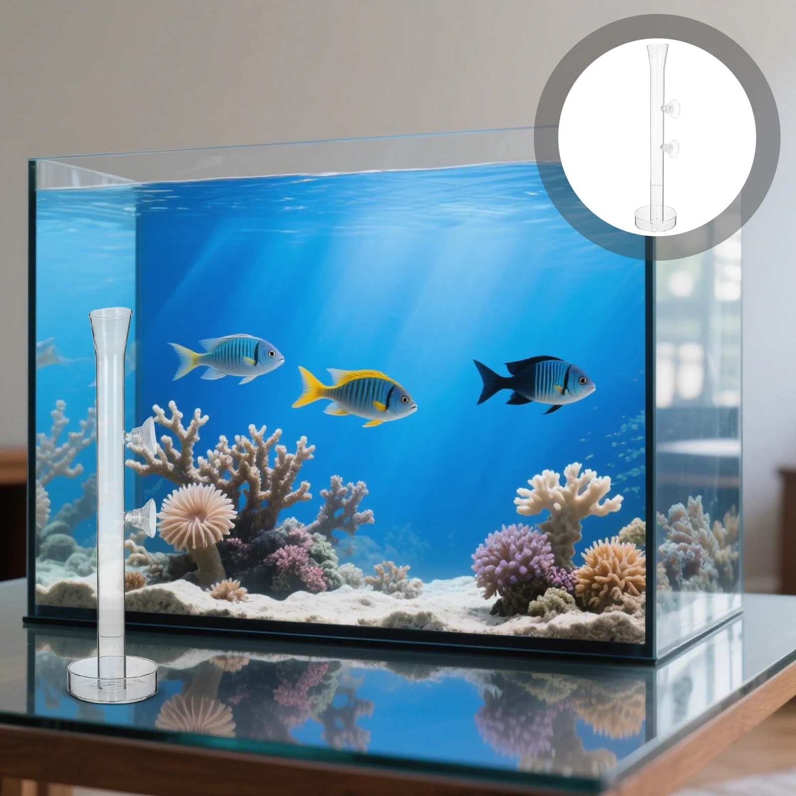 Fish Shrimp Feeder Tray Tube Set 25Cm Aquarium Glass Transparent Delicate Smooth High Brightness Fish Shrimp Feeder Tube
Fish Shrimp Feeder Tray Tube Set 25Cm Aquarium Glass Transparent Delicate Smooth High Brightness Fish Shrimp Feeder Tube