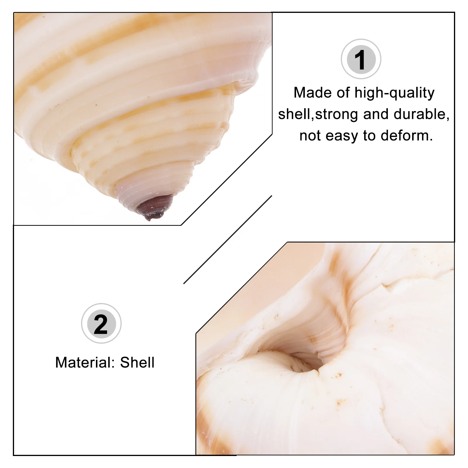 12Pcs Natural Shell Conch Fish Tank Ornament Aquarium Decoration Durable Underwater Landscape Supplies Aquarium Decoration 
12Pcs Natural Shell Conch Fish Tank Ornament Aquarium Decoration Durable Underwater Landscape Supplies Aquarium Decoration