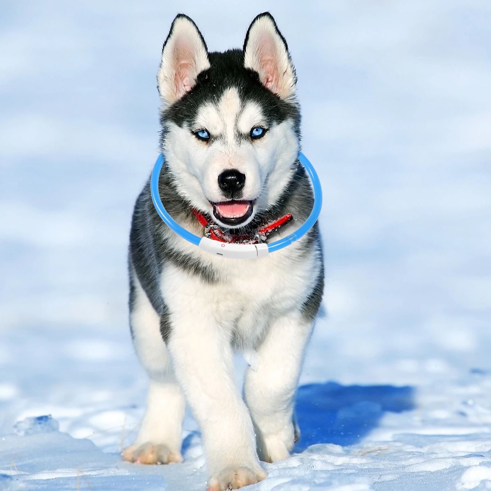 Luminous Necklace Flashing Pet Collar Kitten Dog Glowing Supply LED Pvc USB Charging Night Decor 
Luminous Necklace Flashing Pet Collar Kitten Dog Glowing Supply LED Pvc USB Charging Night Decor