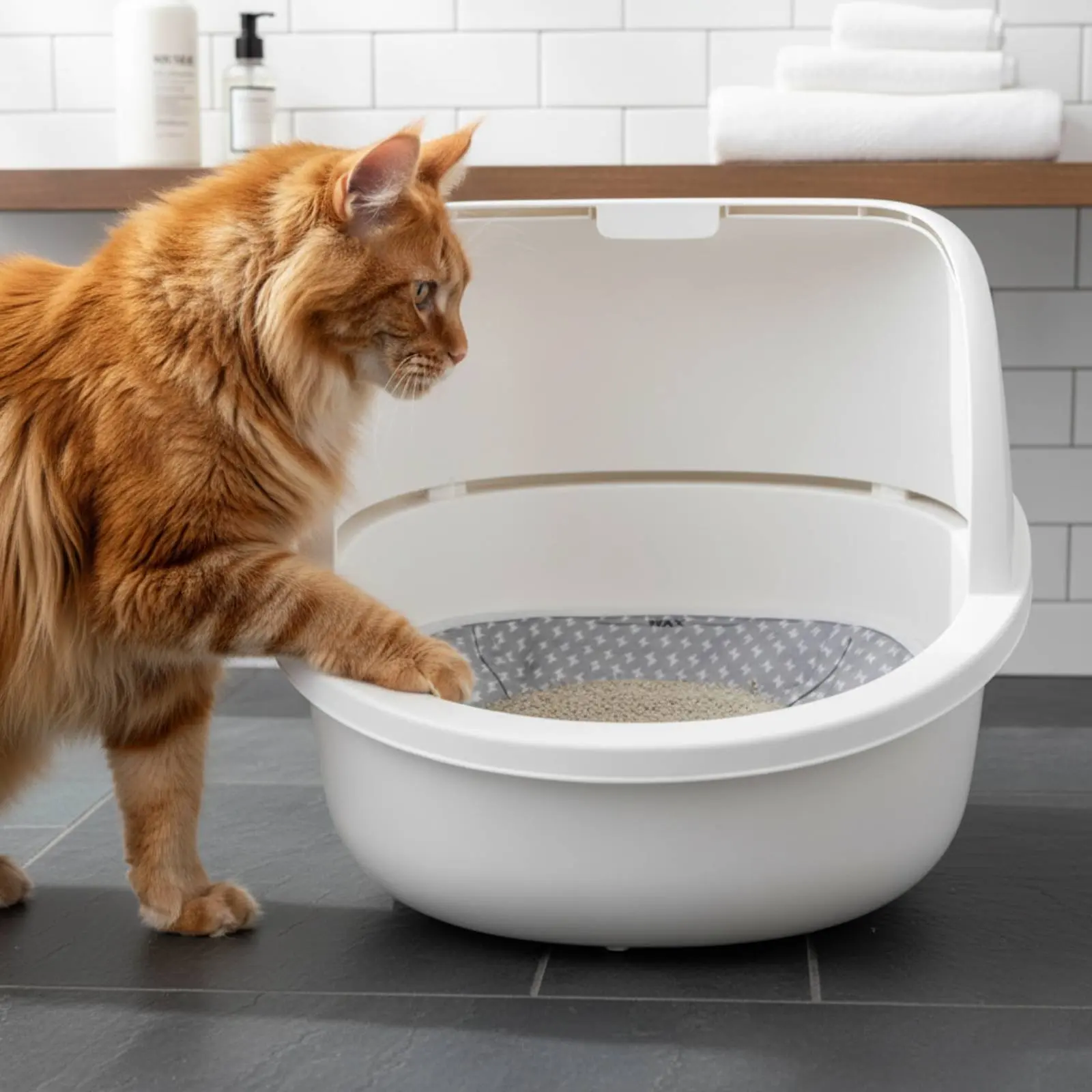 Smart Litter Box Replacement Mat Deodorizing Litter Box Odor Absorber Pet Supplies Scuff-Resistant Easy to Clean
Smart Litter Box Replacement Mat Deodorizing Litter Box Odor Absorber Pet Supplies Scuff-Resistant Easy to Clean