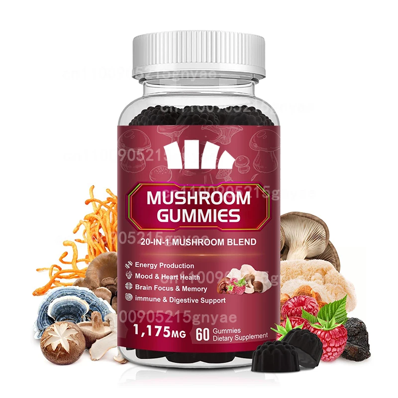 Mushroom Supplement -60 Capsules -20 Organic Mushrooms - Lion Mane, Cordyceps, Turkey Tail, Etc
Mushroom Supplement -60 Capsules -20 Organic Mushrooms - Lion Mane, Cordyceps, Turkey Tail, Etc