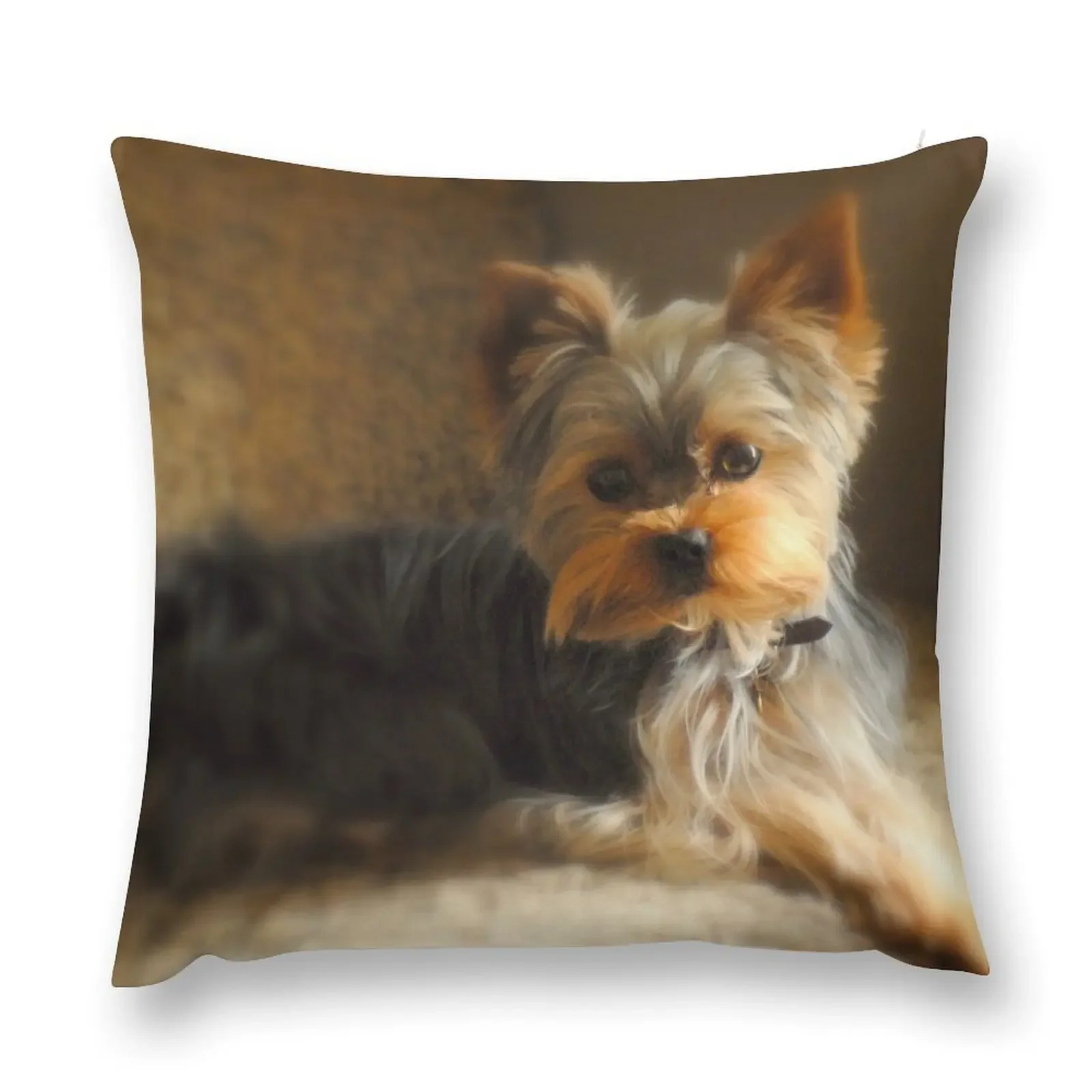 Just Relaxing... Throw Pillow Cushions autumn decoration christmas pillowcases pillow
Just Relaxing... Throw Pillow Cushions autumn decoration christmas pillowcases pillow