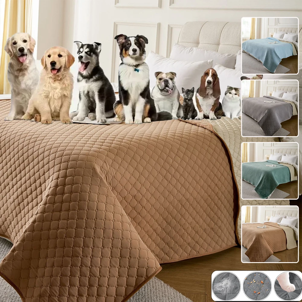1PC Waterproof Pet Dog Urine-Proof Bed Cover Four Seasons Bed Sheet Thickened Non-Slip Bedspread Sofa Mat Non-stick Wool Cat Bed
1PC Waterproof Pet Dog Urine-Proof Bed Cover Four Seasons Bed Sheet Thickened Non-Slip Bedspread Sofa Mat Non-stick Wool Cat Bed