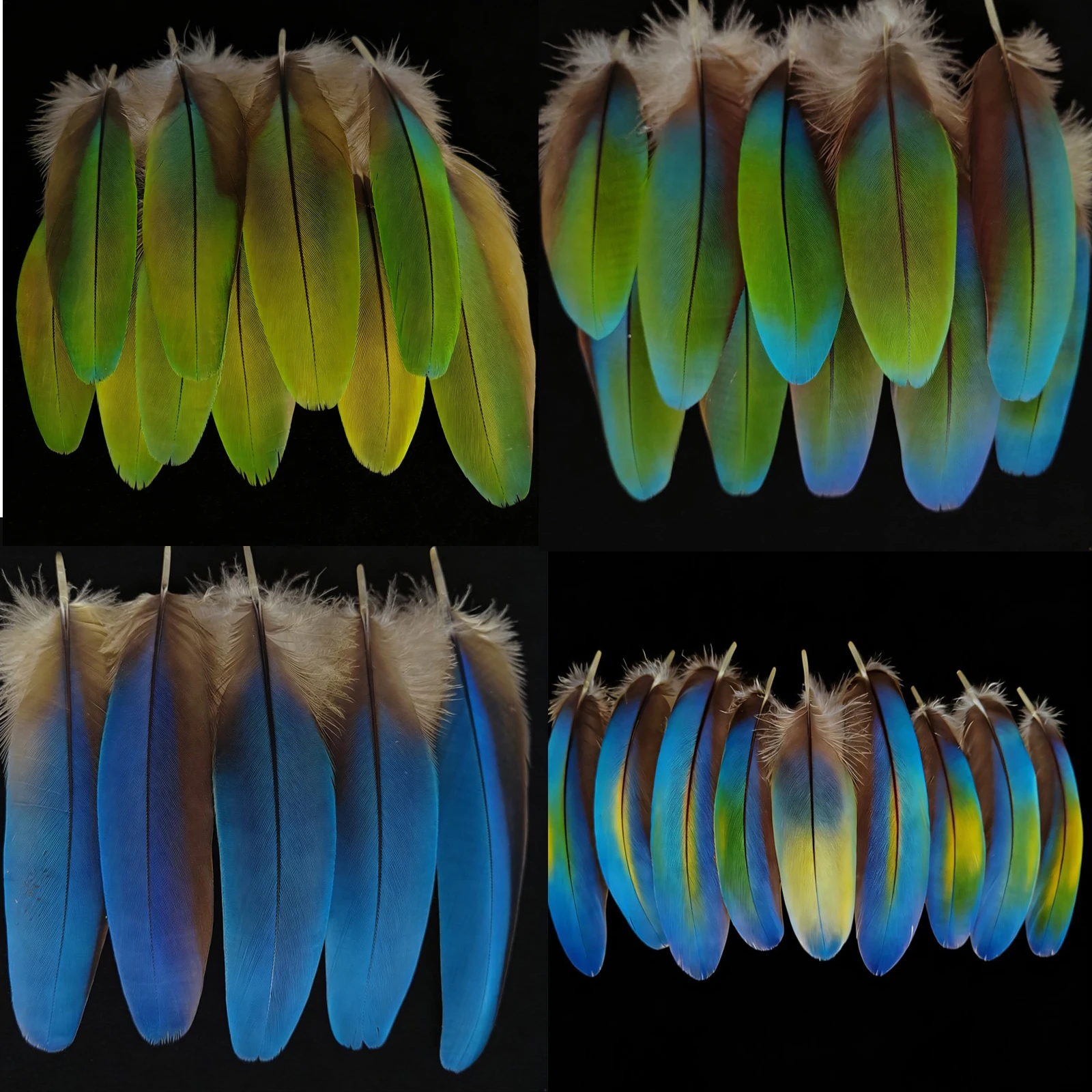 10 шт./лот! Редкие ярко-зеленые/ярко-синие перья попугаев длиной 8-15 см, маленькие перья для украшения ожерелий и декоративных аксессуаров.
10 шт./лот! Редкие ярко-зеленые/ярко-синие перья попугаев длиной 8-15 см, маленькие перья для украшения ожерелий и декоративных аксессуаров.