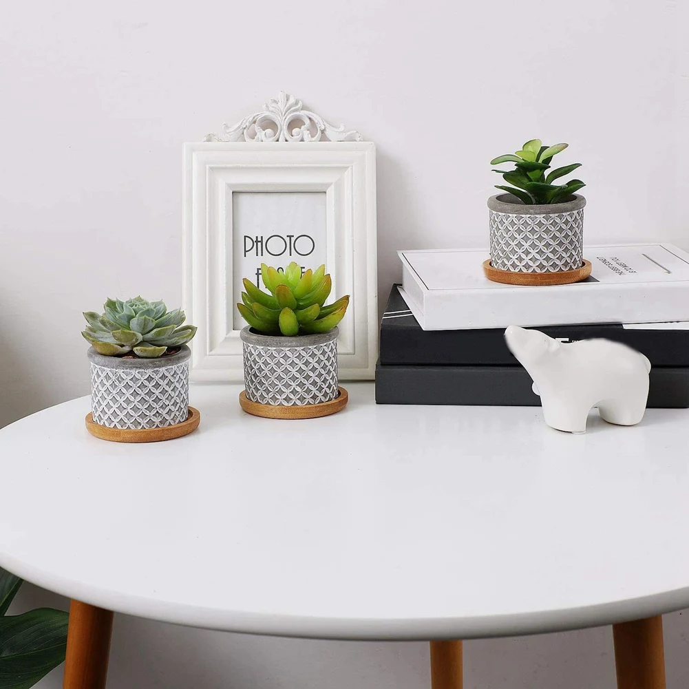 JFB бамбуковая тарелка для растений 3,3-дюймовый поднос для сочных горшков, держатель для цветочных растений, круглый дренажный поддон, упаковка из 24 шт.
JFB бамбуковая тарелка для растений 3,3-дюймовый поднос для сочных горшков, держатель для цветочных растений, круглый дренажный поддон, упаковка из 24 шт.