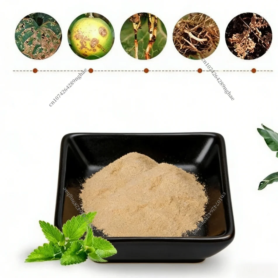 Bacillus Subtilis Improve The Soil Disease Prevention
Bacillus Subtilis Improve The Soil Disease Prevention