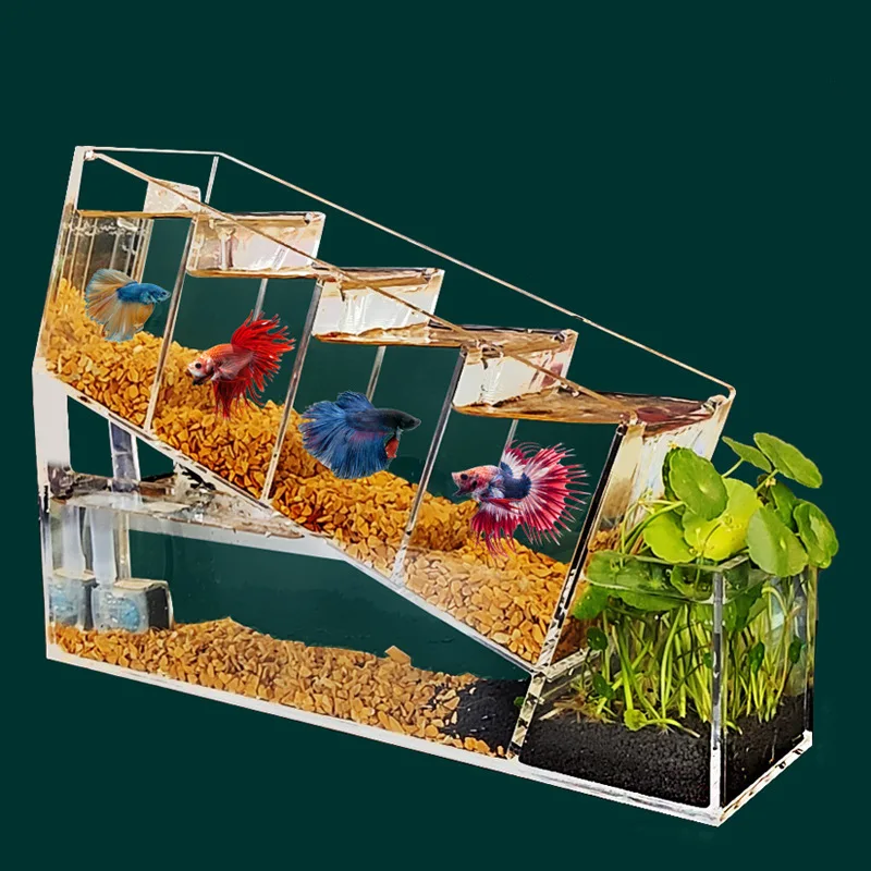 Acrylic landscaping fish tank desktop small multi-grid isolation self-changing water ecological flowing water bucket fish tank
Acrylic landscaping fish tank desktop small multi-grid isolation self-changing water ecological flowing water bucket fish tank