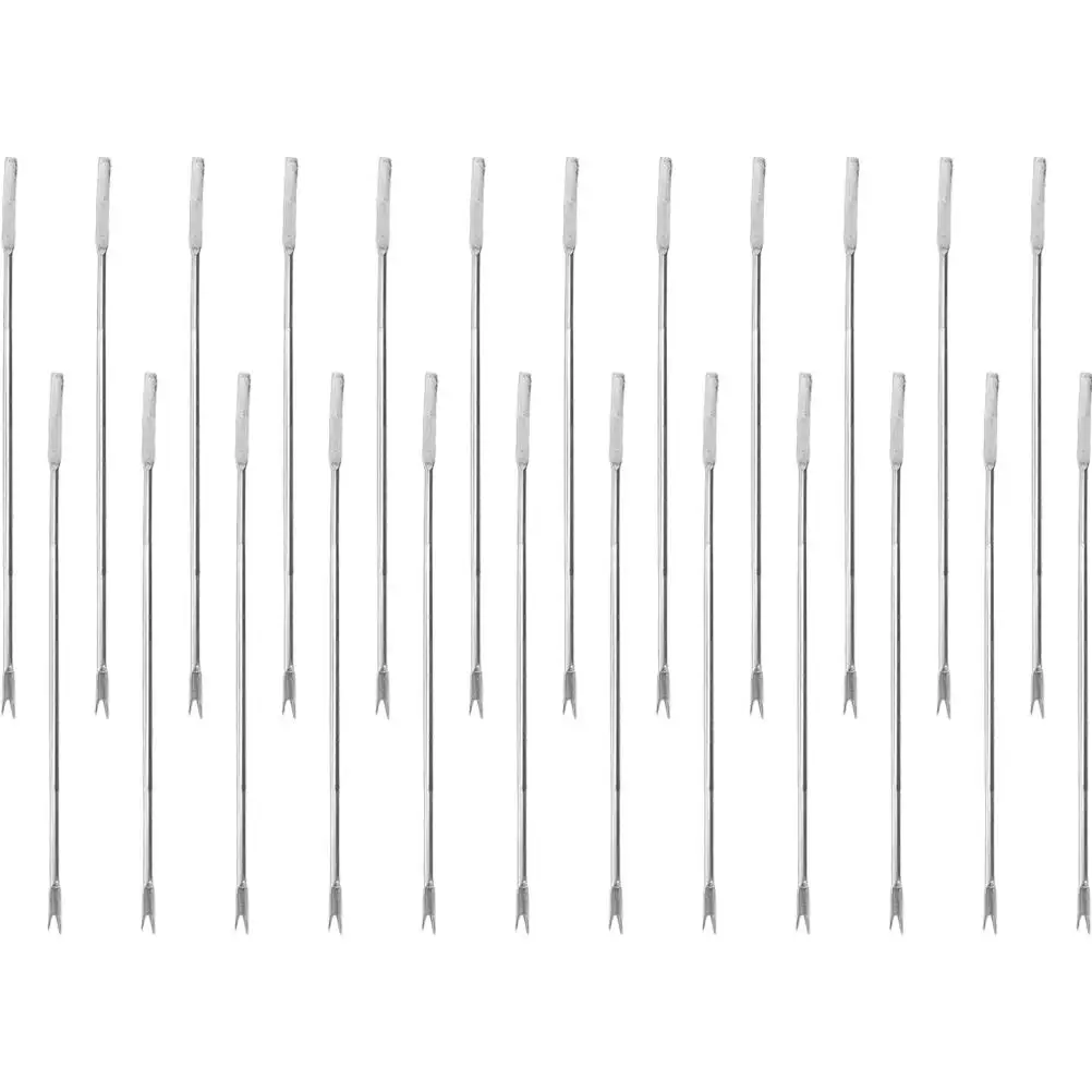 24 Pcs Stainless Steel Pick Crab Tools Seafood Metal Fork Forks Shrimp Crackers Household Walnut Pickle
24 Pcs Stainless Steel Pick Crab Tools Seafood Metal Fork Forks Shrimp Crackers Household Walnut Pickle
