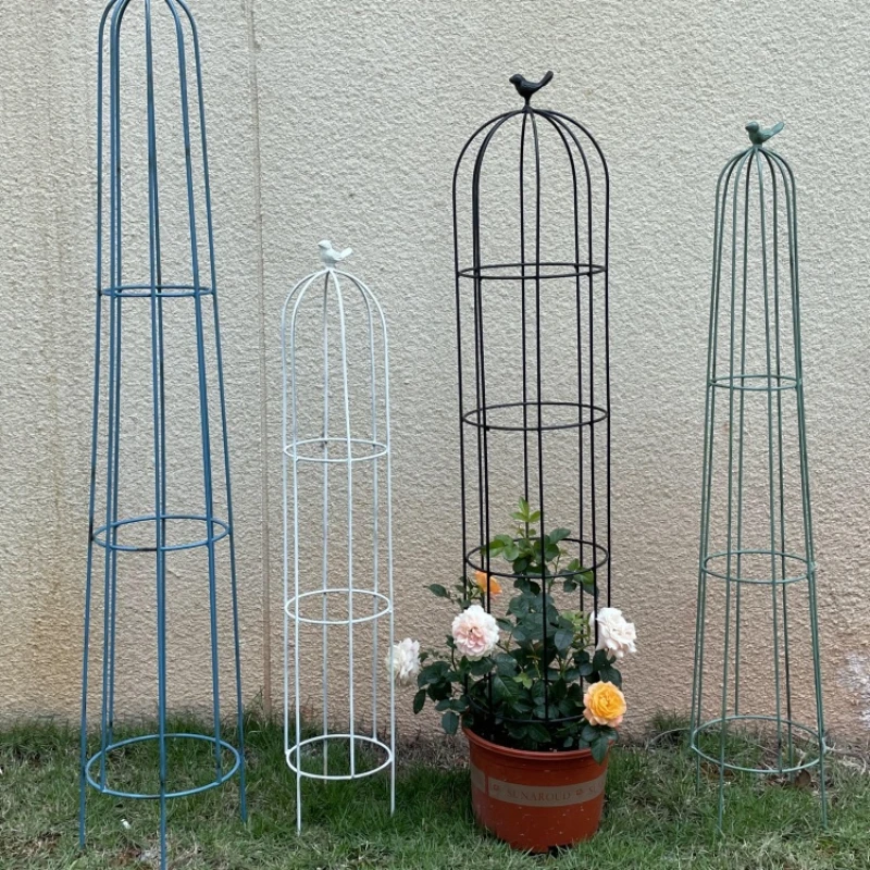 Circular bird climbing vine frame, rose iron wire lotus balcony, potted plant , flower pot
Circular bird climbing vine frame, rose iron wire lotus balcony, potted plant , flower pot